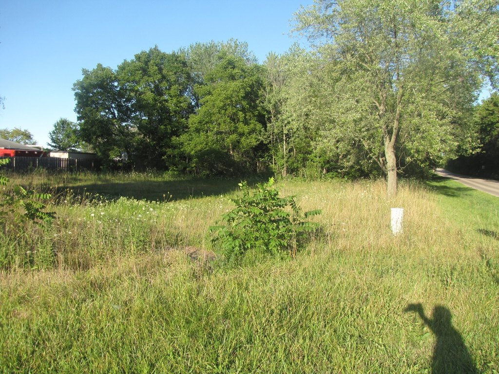 Picture 4