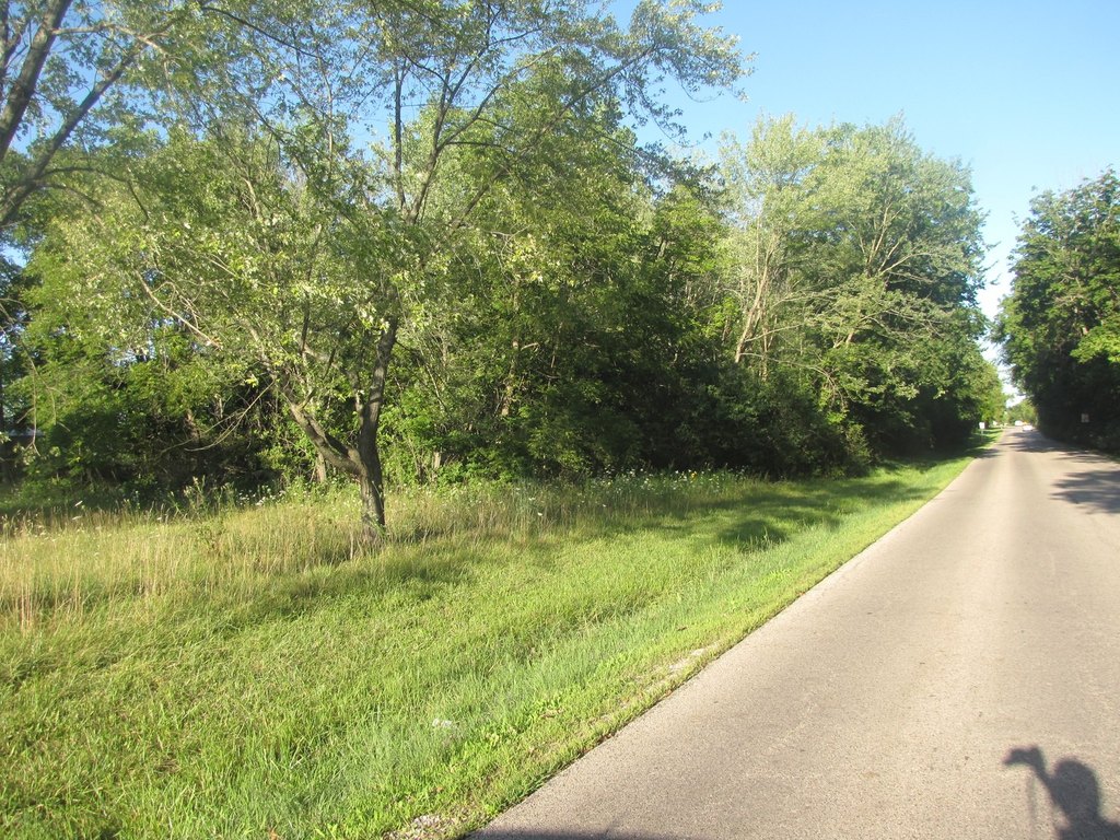 Picture 3