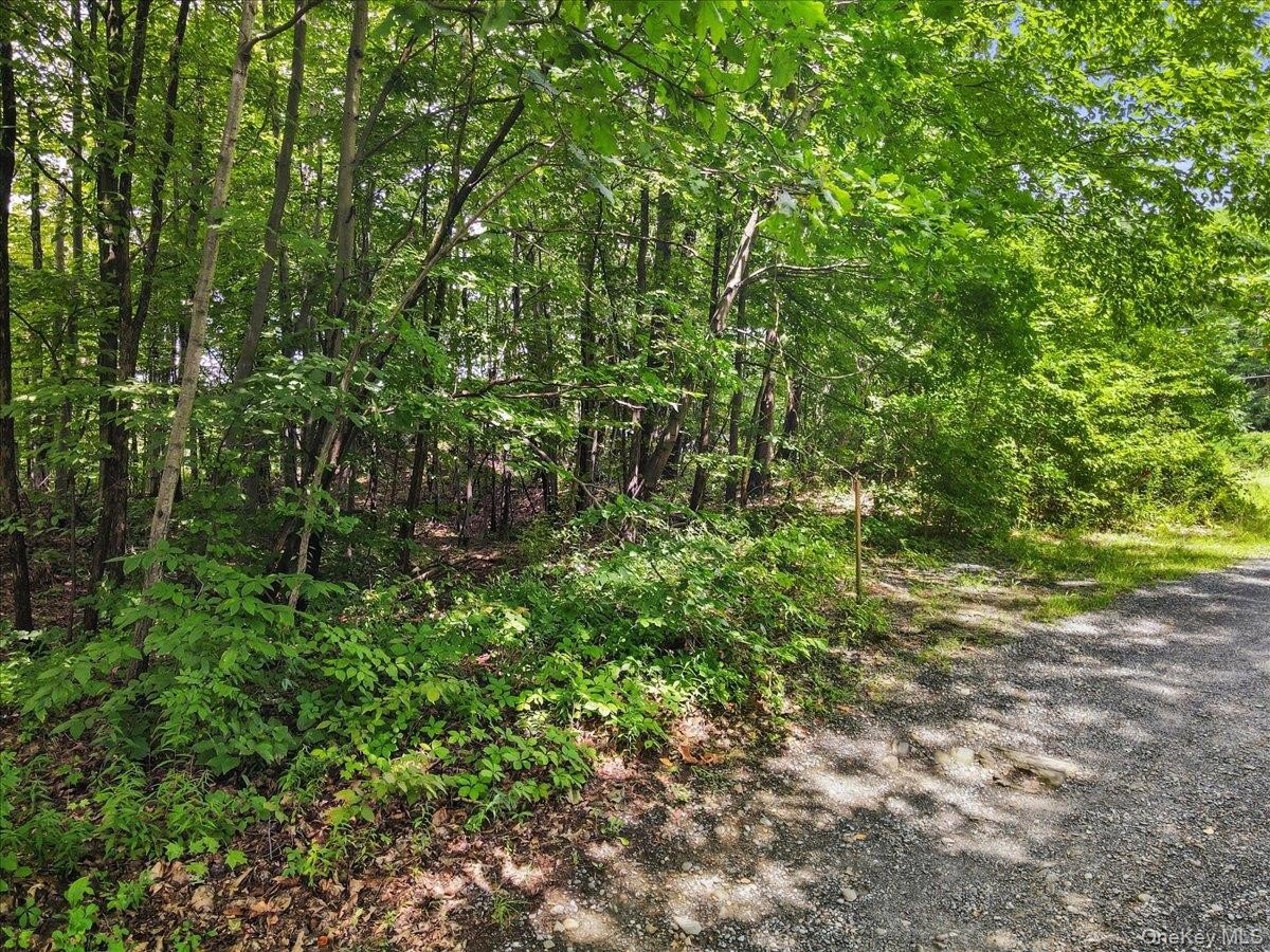 Rhinebeck Land: Build Your Home
