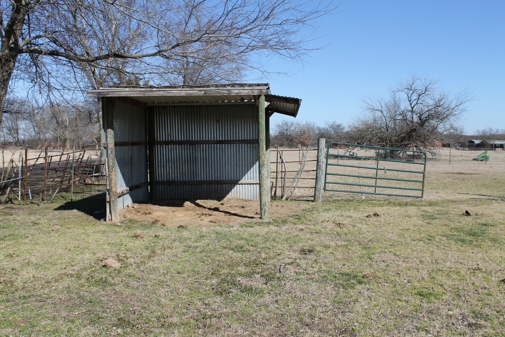 Picture 12