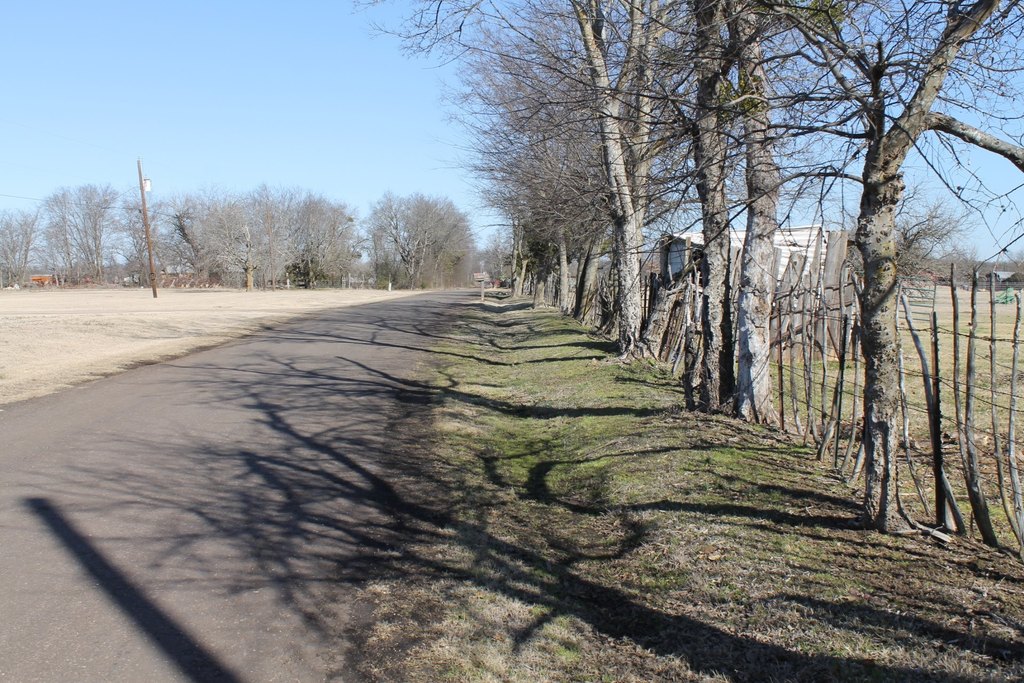 Picture 4