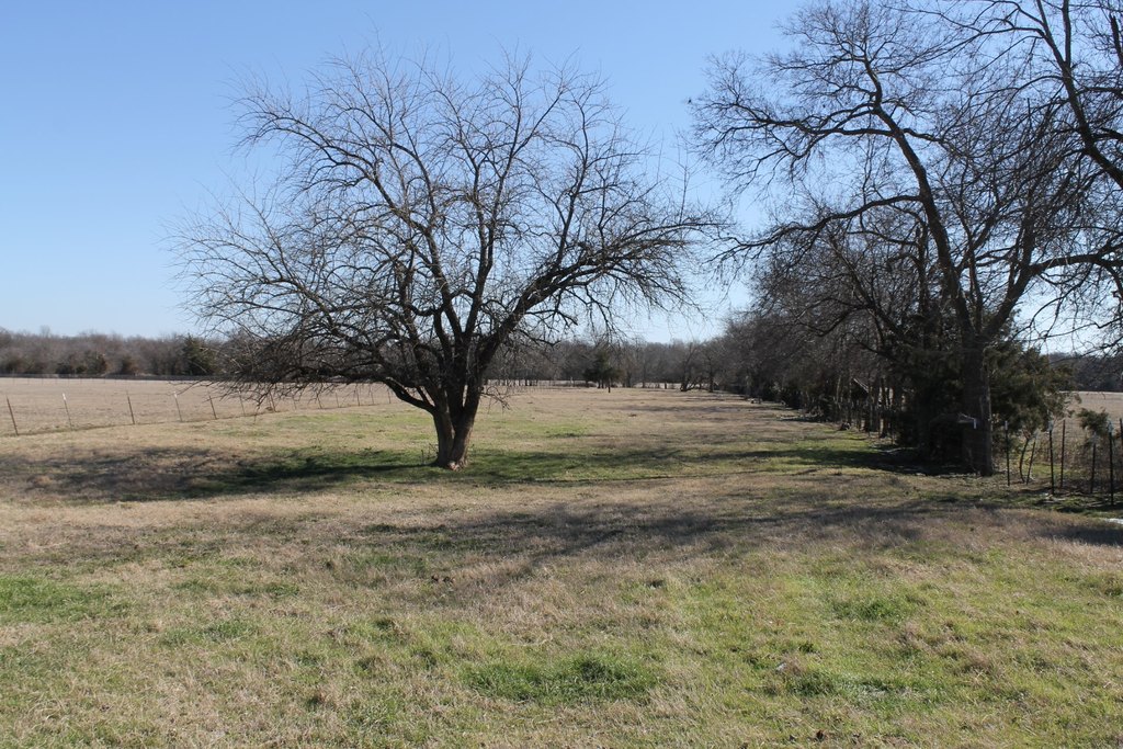 Picture 15