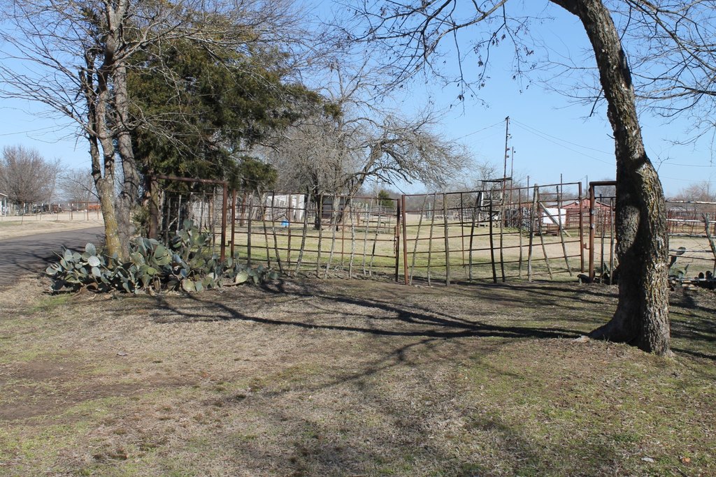 Picture 6