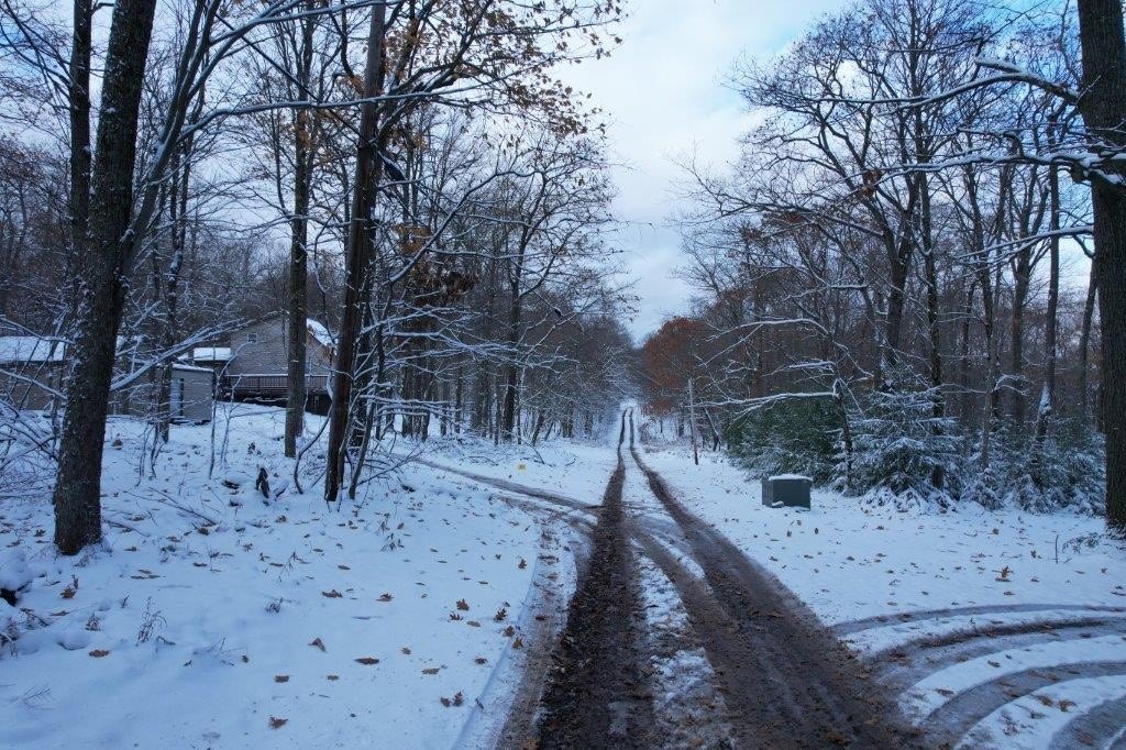 Picture 13
