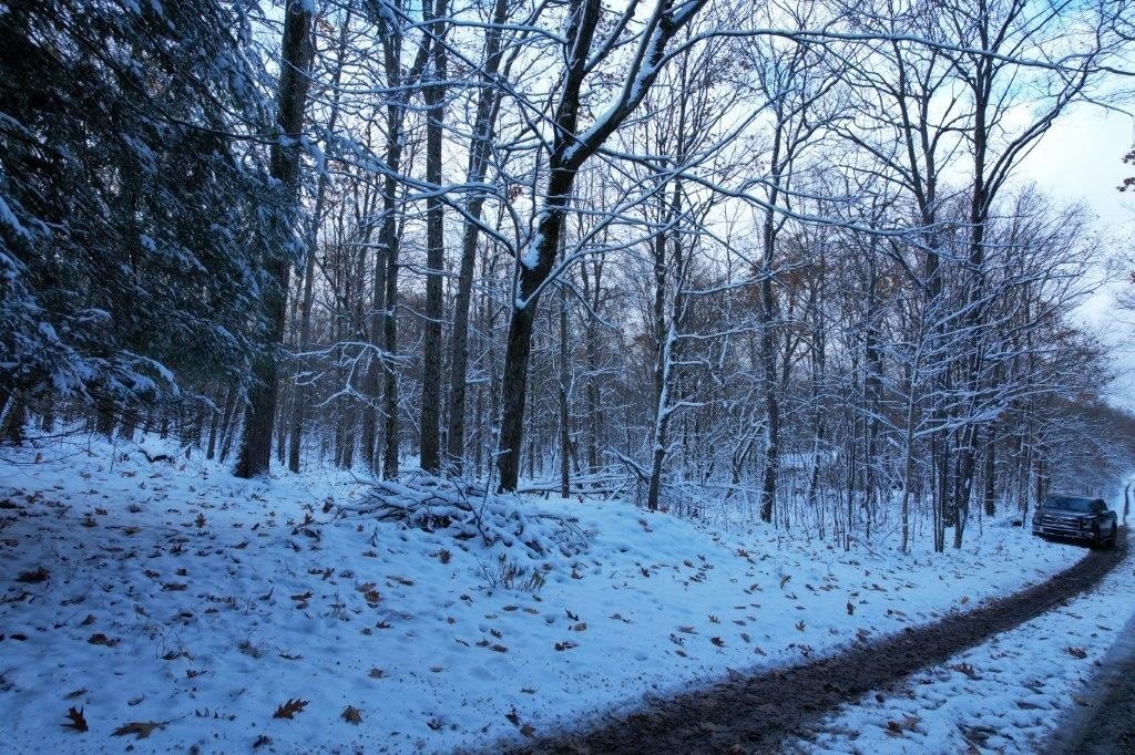Picture 14