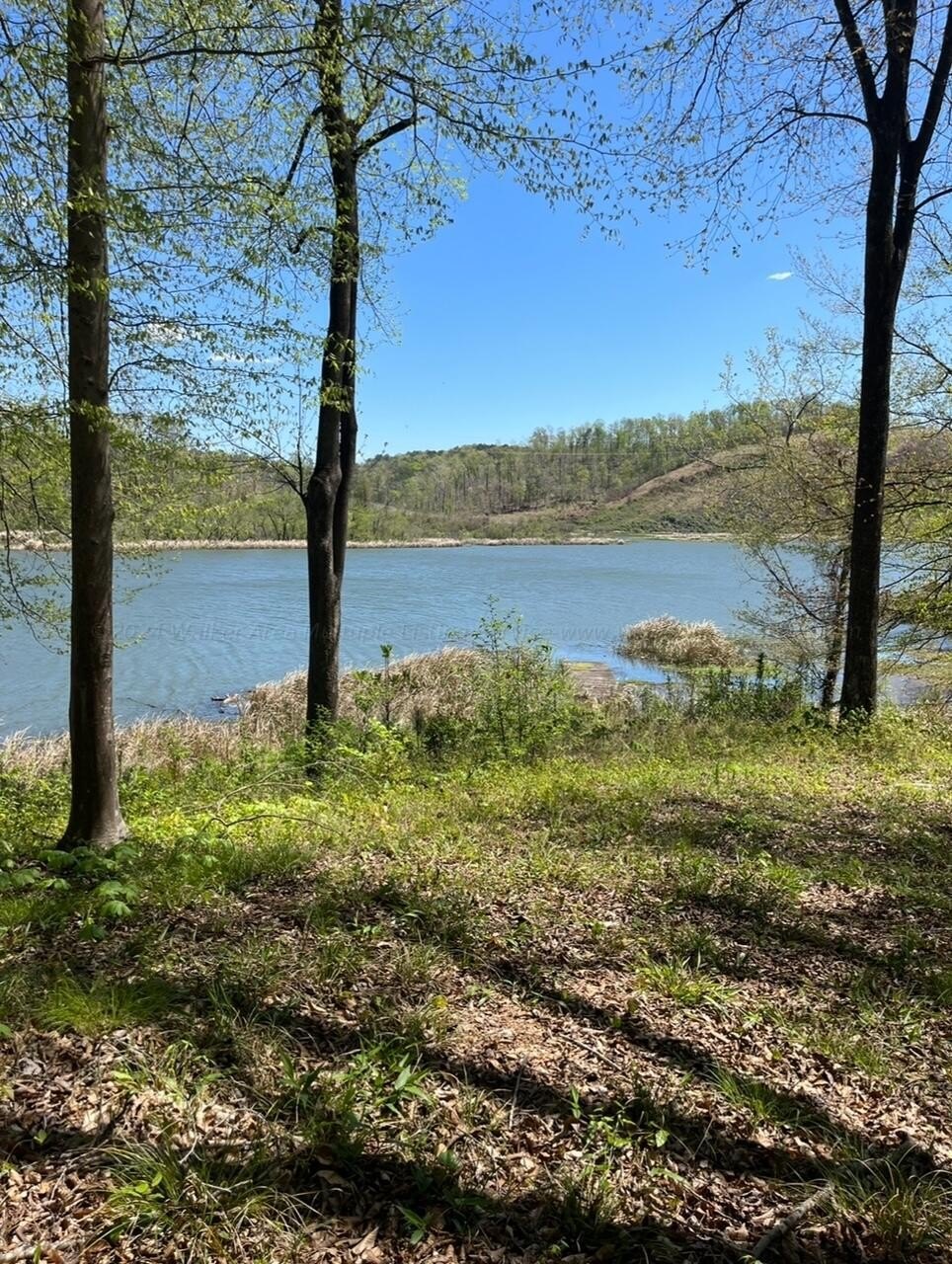 River Front Lots on Warrior