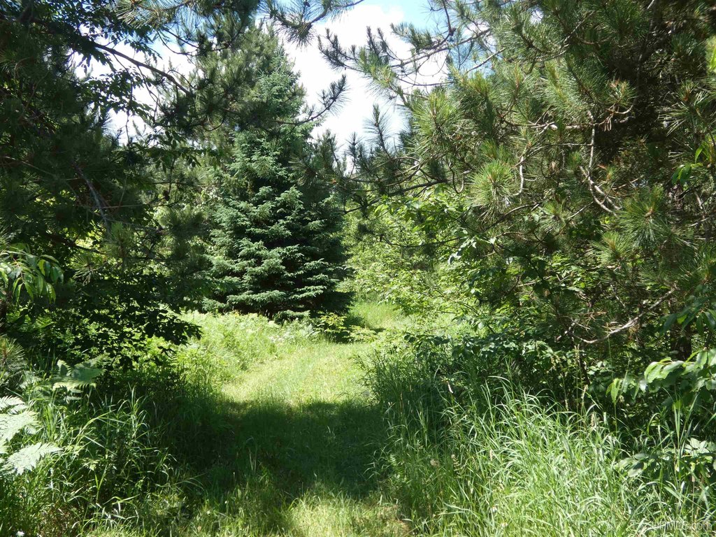 Picture 6