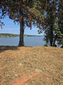 LAND - Greenwood, SC