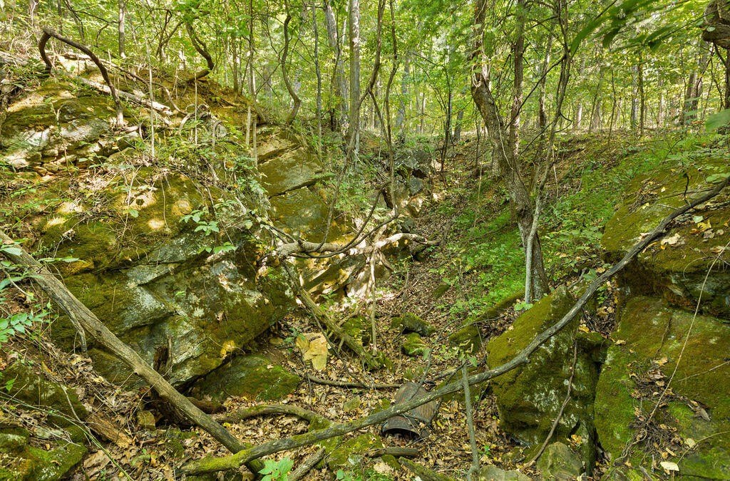 Picture 5