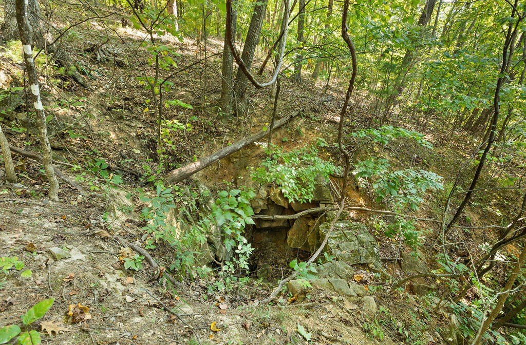 Picture 8