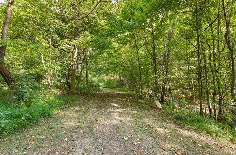Land, Lexington, VA
