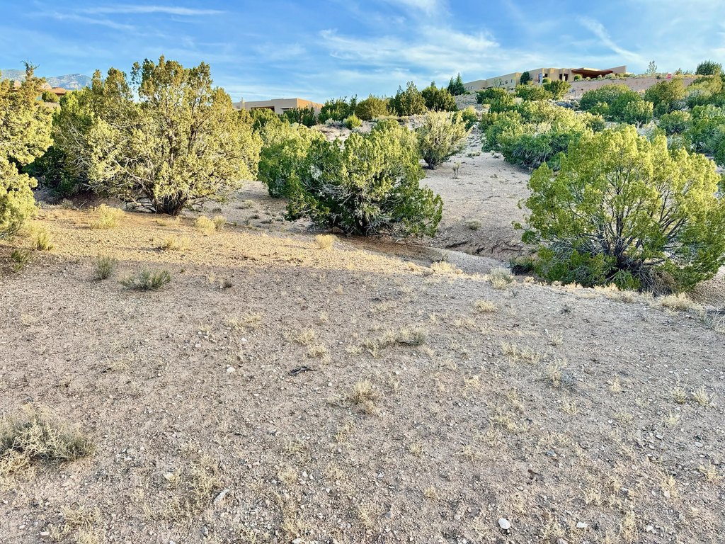 Picture 19