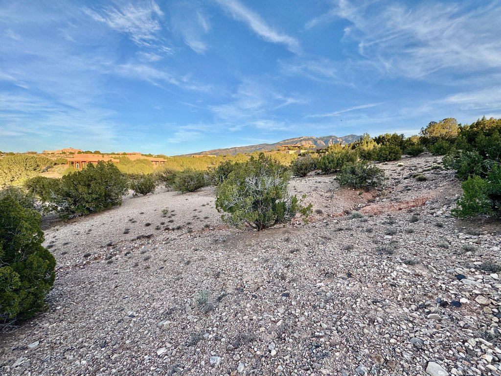 Picture 25