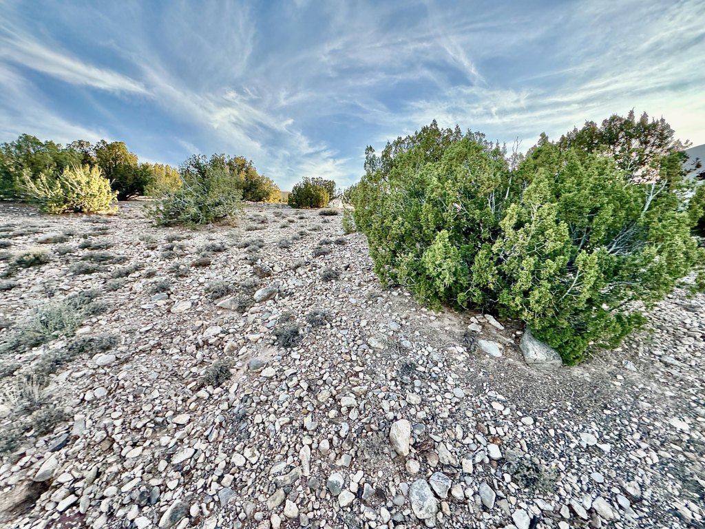 Picture 30