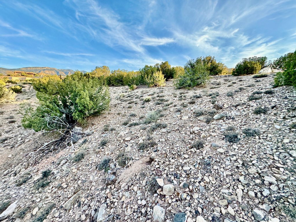 Picture 29