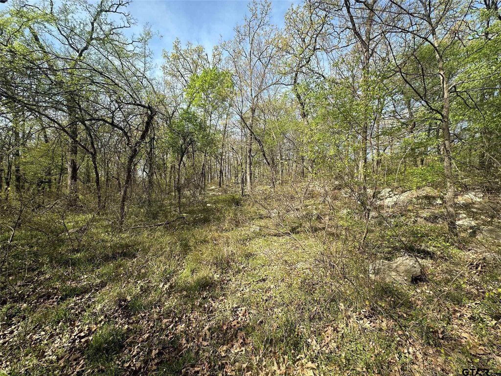 Picture 6