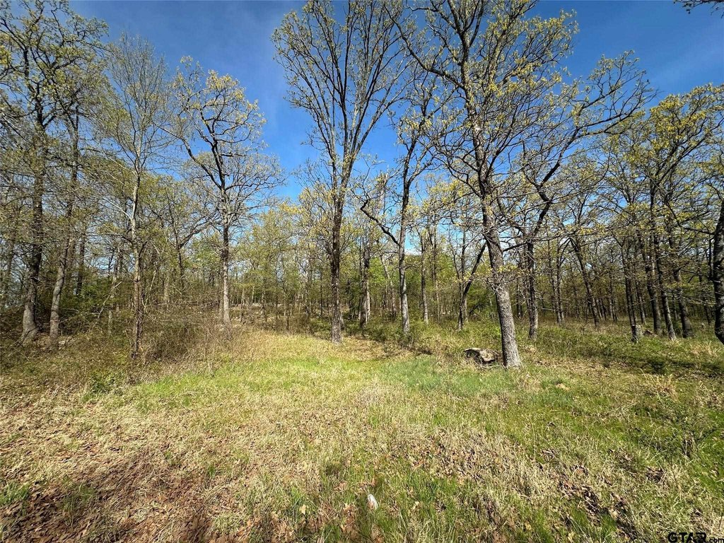 Picture 16