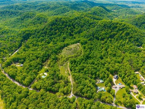 Wooded Hunting Land Acreage