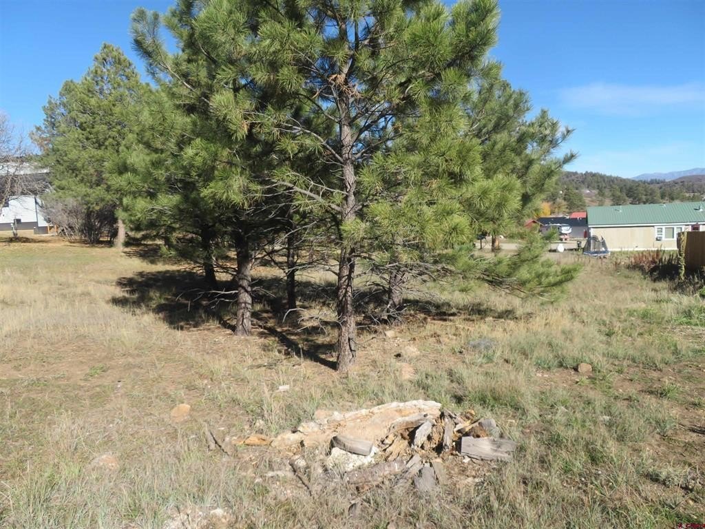 Picture 3