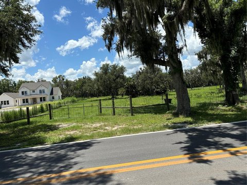 Treed Residential Land Lot