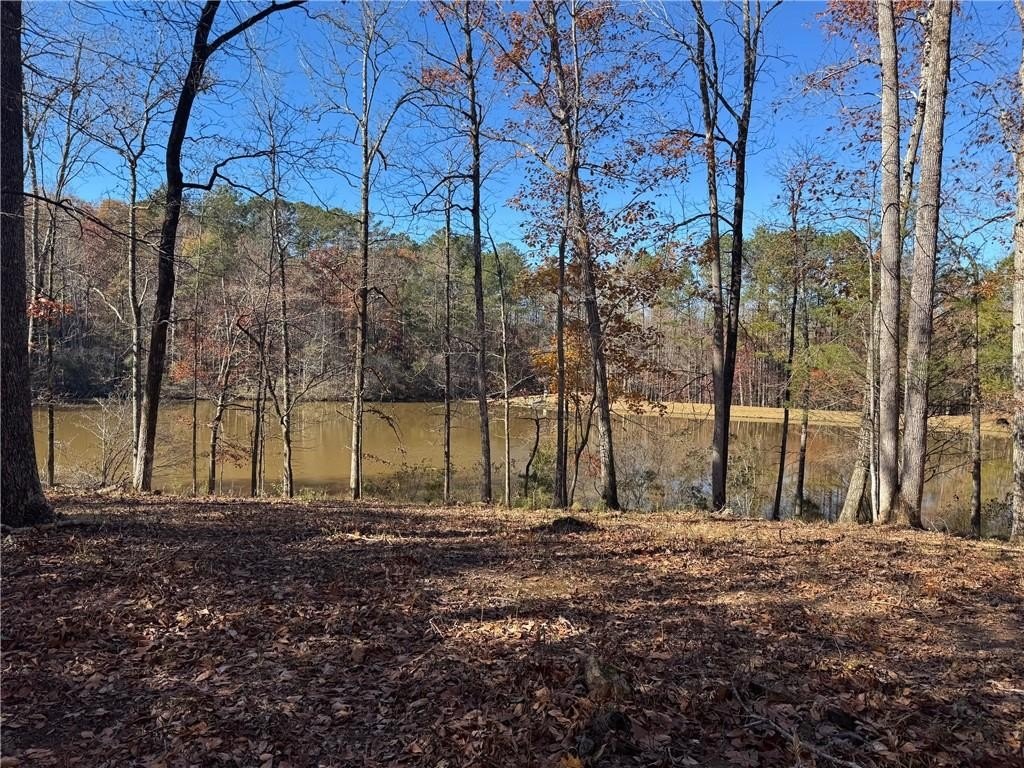 Picture 8