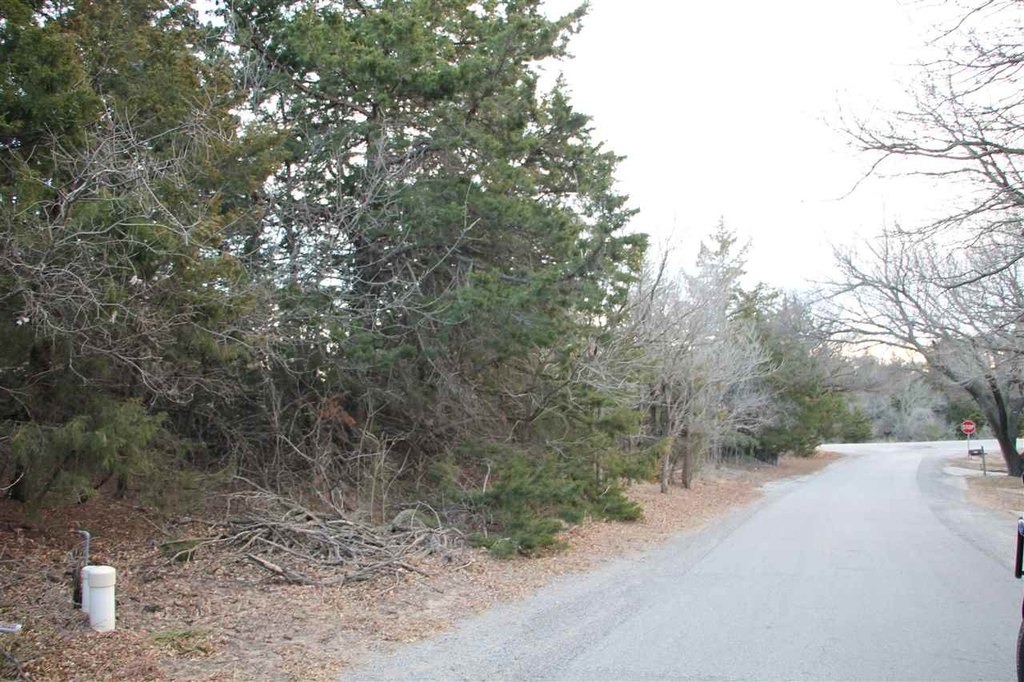 Picture 3
