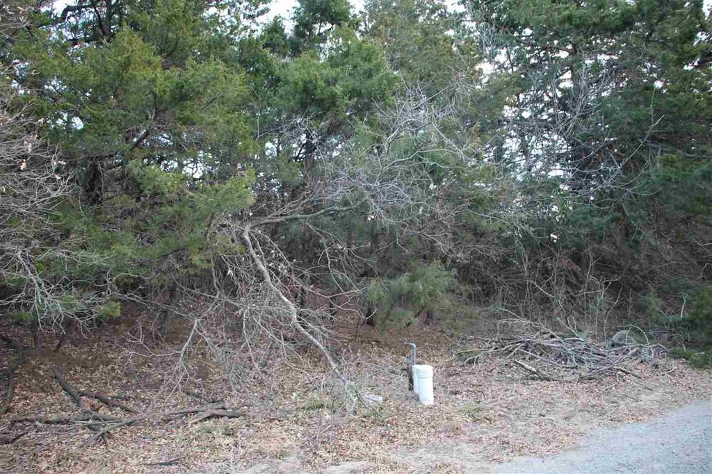 Picture 2