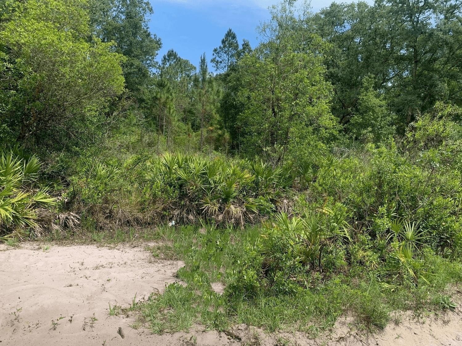 Recreational Land in Kathleen, Florida