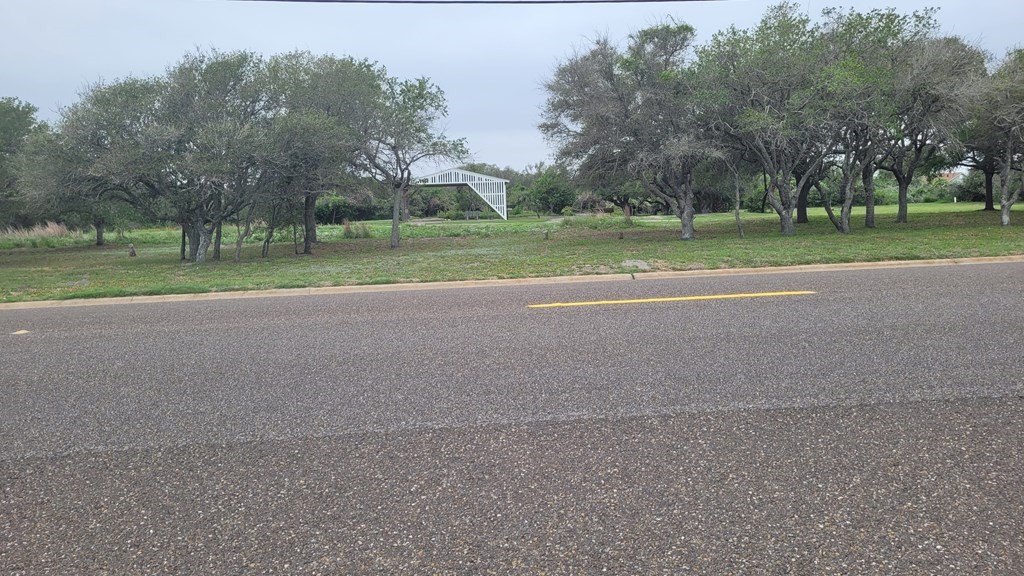Picture 6