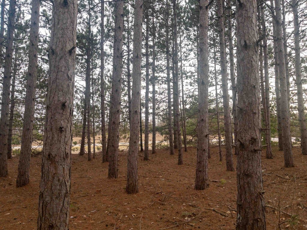 Picture 5