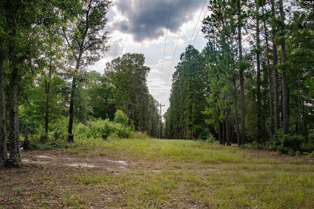 Picture 19