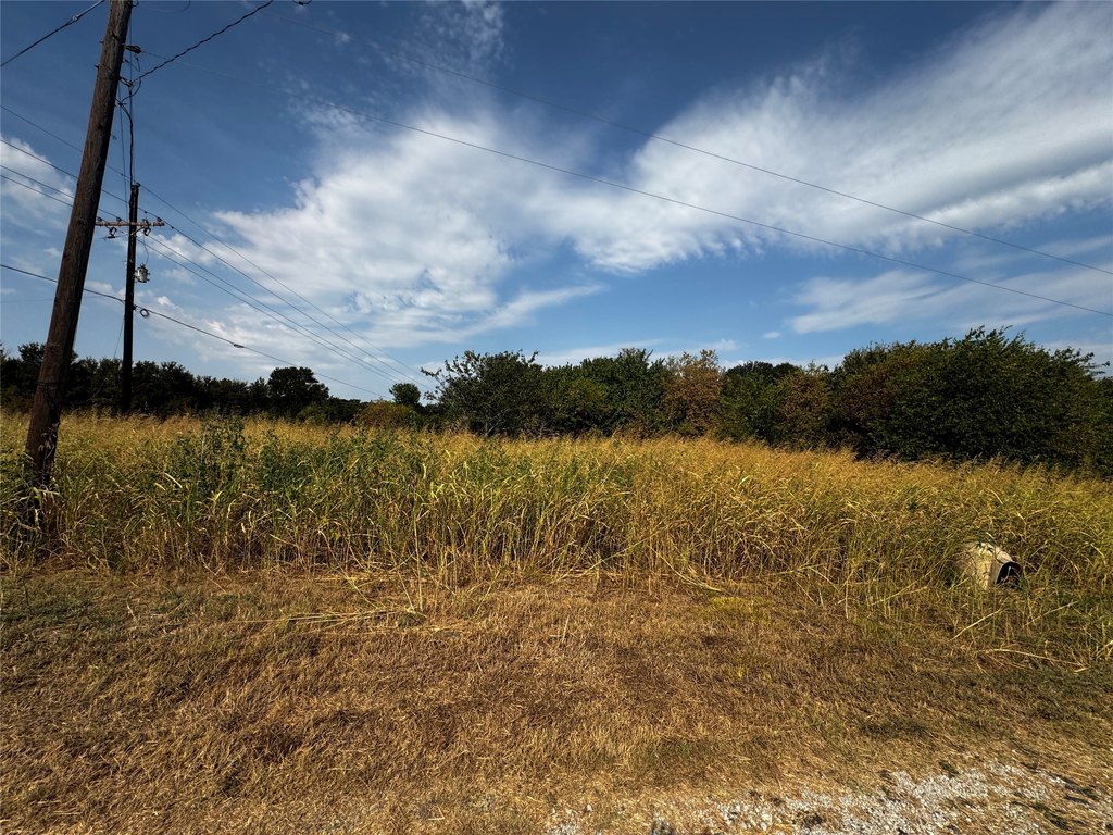Picture 9