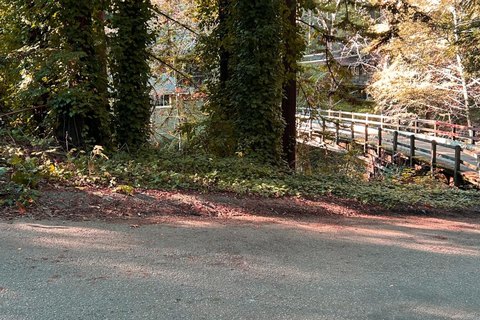 Recreational Land by Rustic Bridge