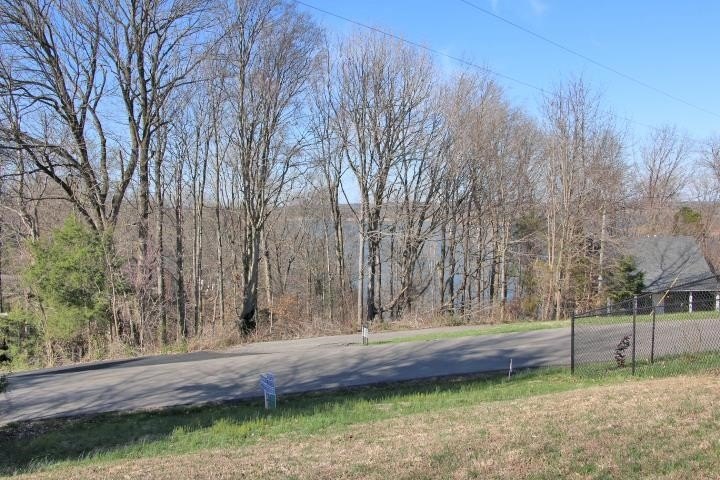 Picture 3