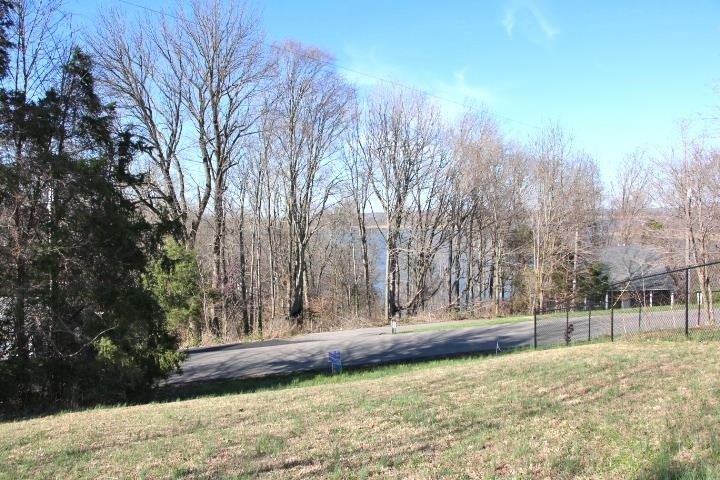 Picture 11
