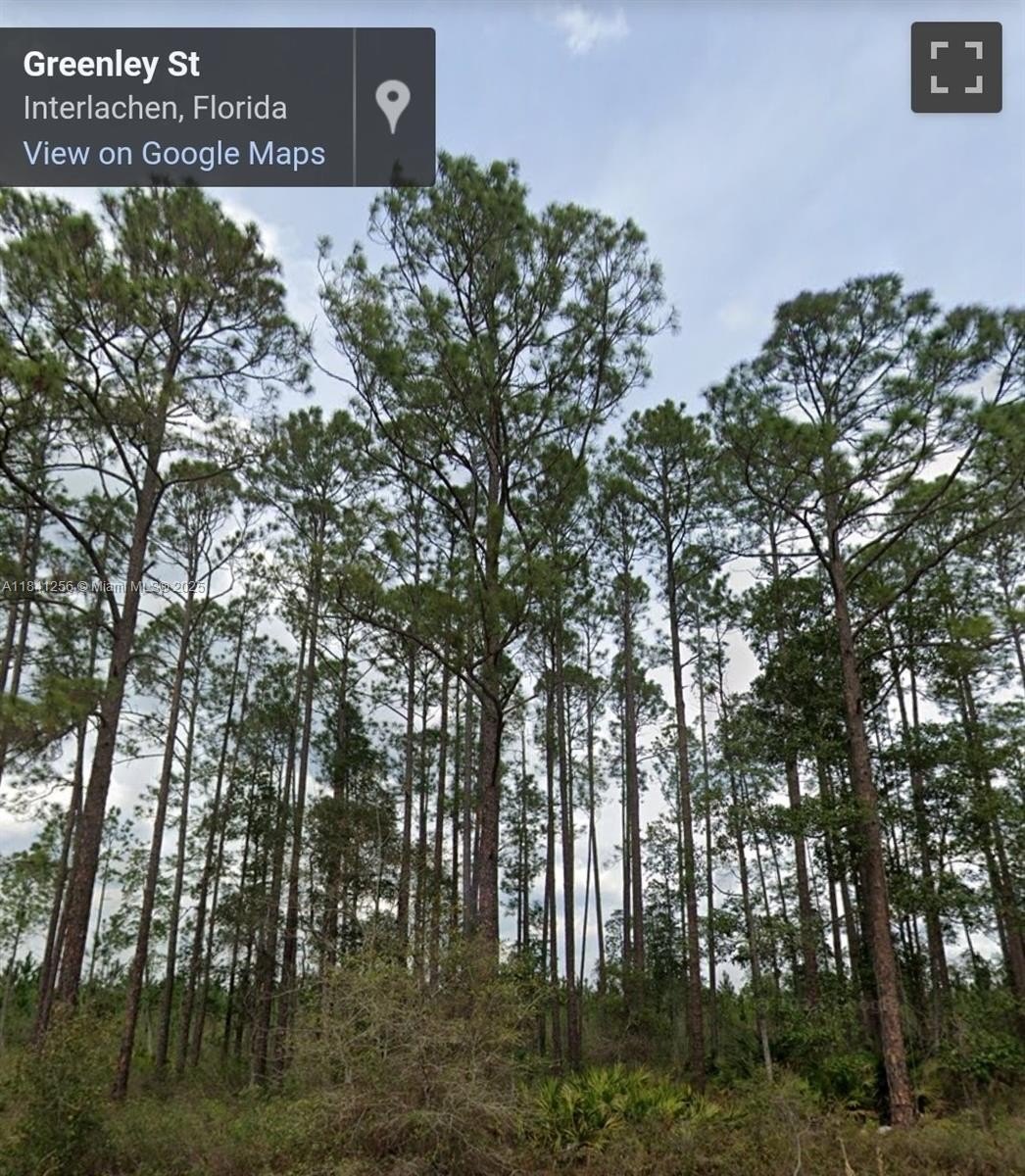 Palatka Residential Lot For Sale