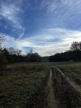 Land Near Ouachita National Forest