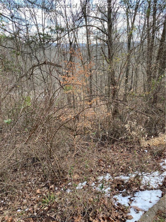 Land in Cross Lanes, WV