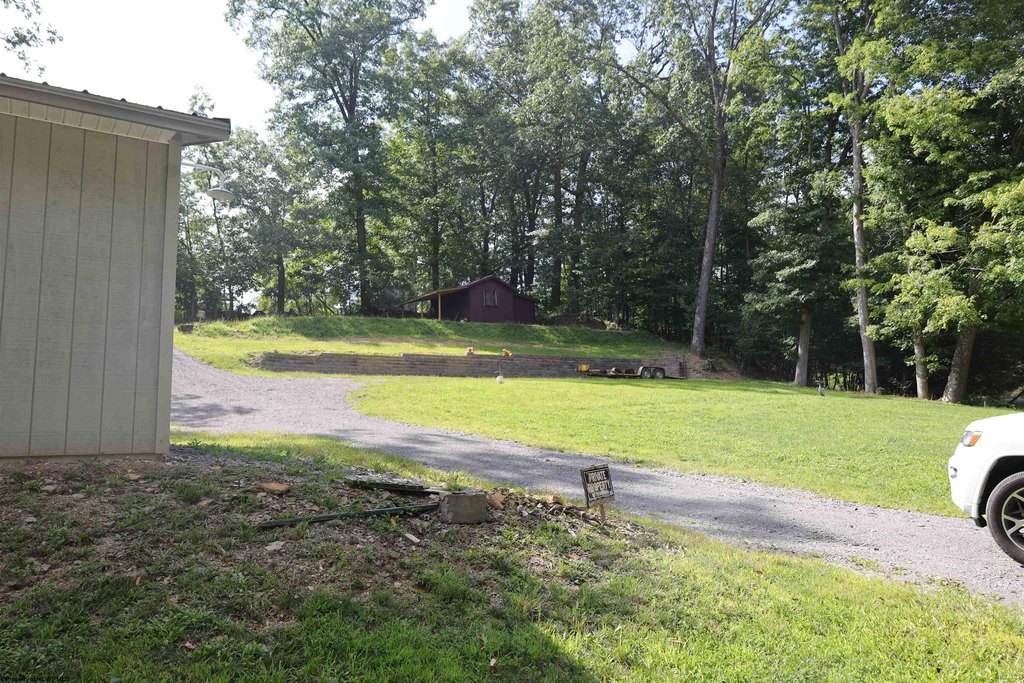 Picture 4