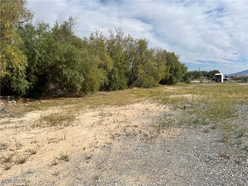 Picture 20