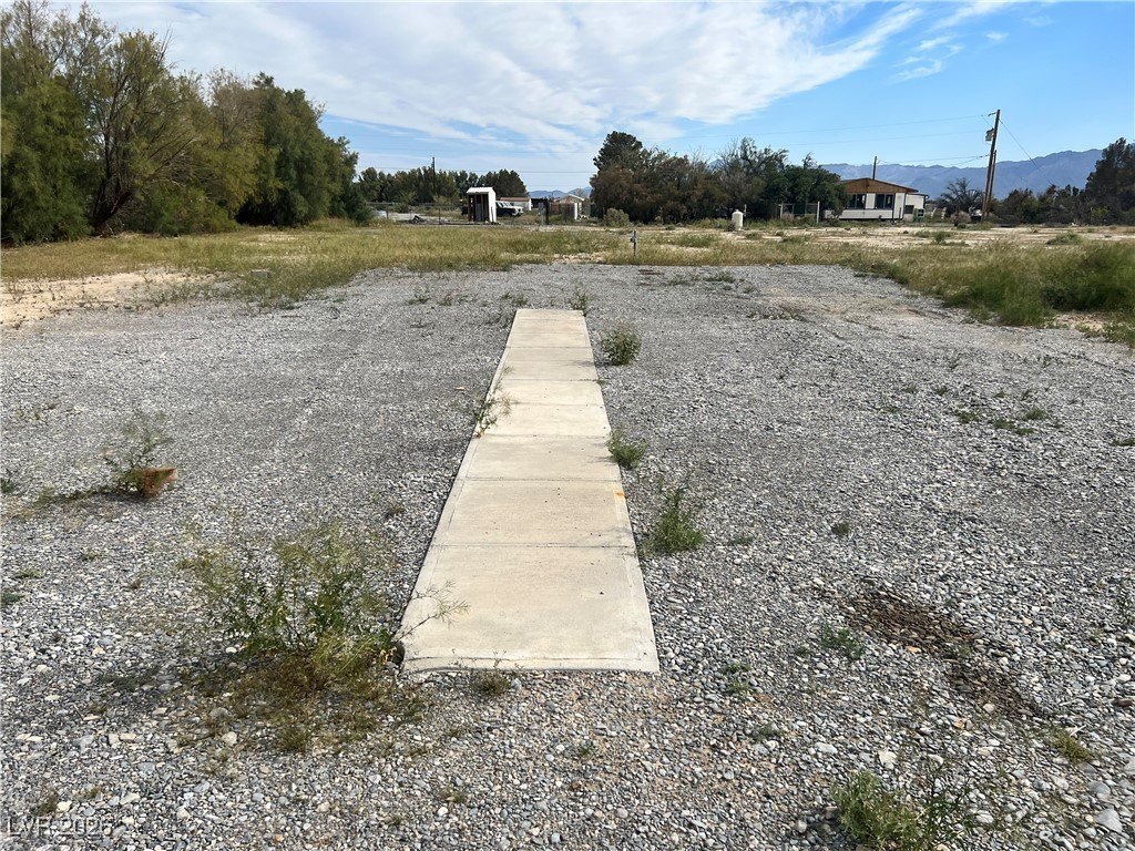 Picture 21