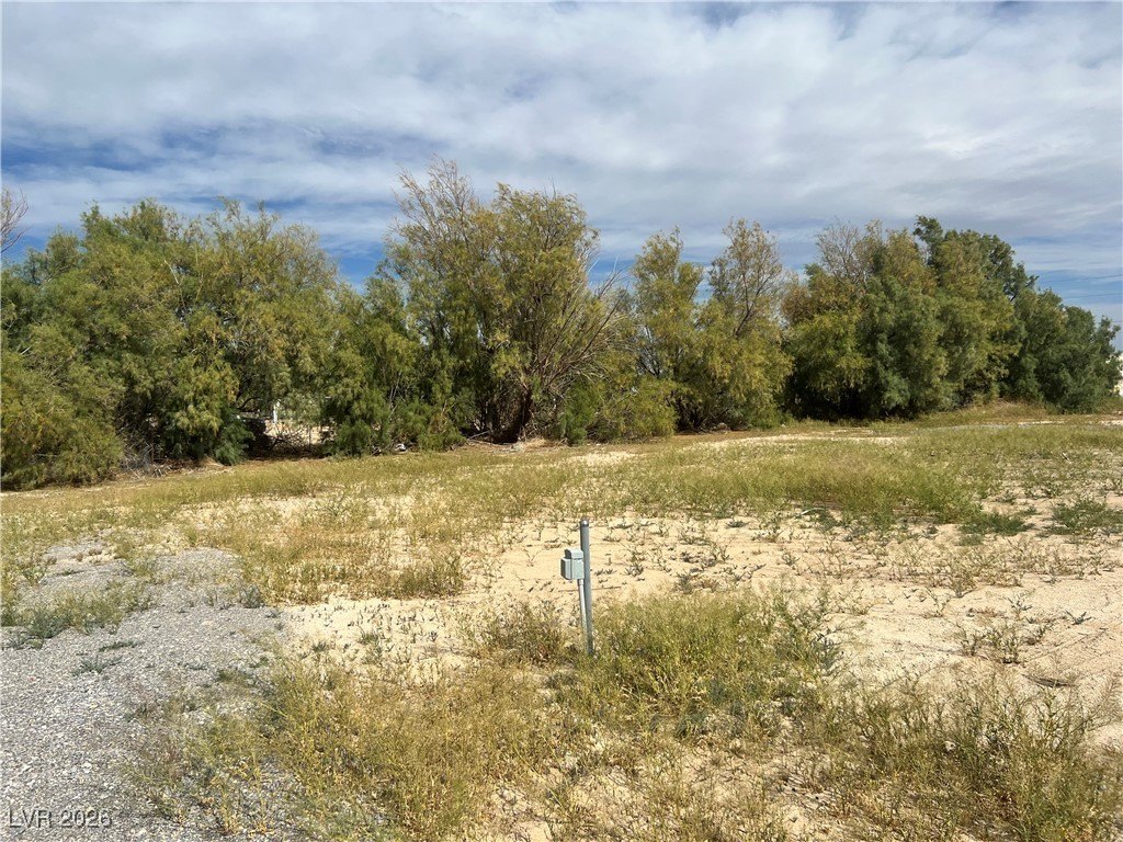 Picture 23