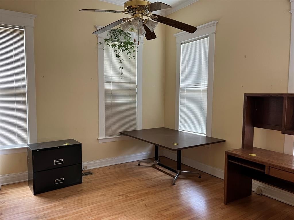 Picture 11