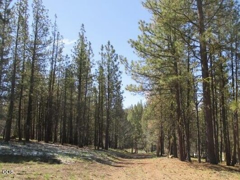 LAND - Beatty, OR