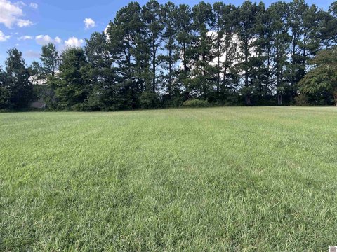 Saddle Creek Building Site