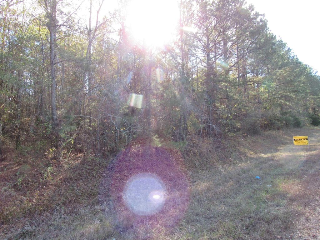 Picture 24