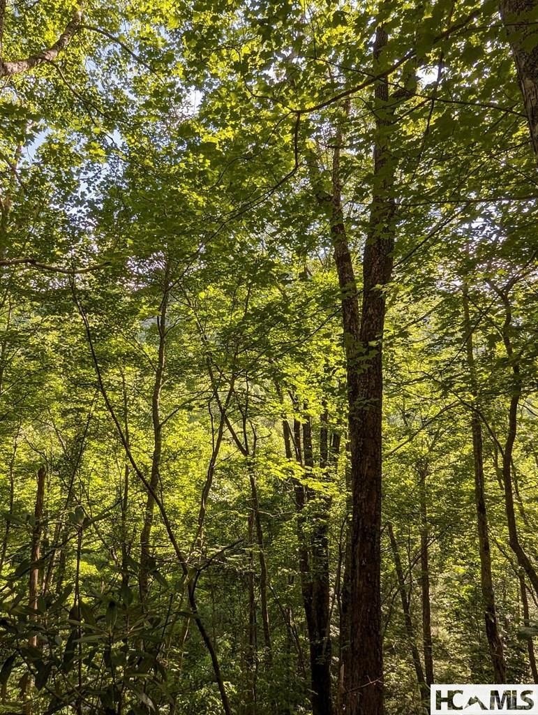 Scenic Mountain Homesite Opportunity
