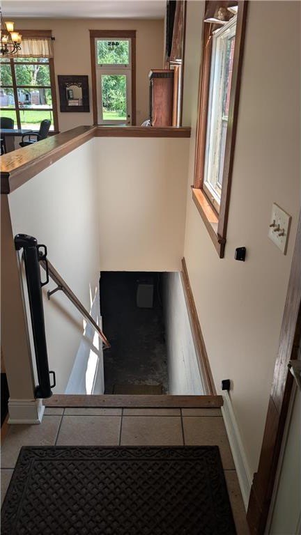 Picture 7