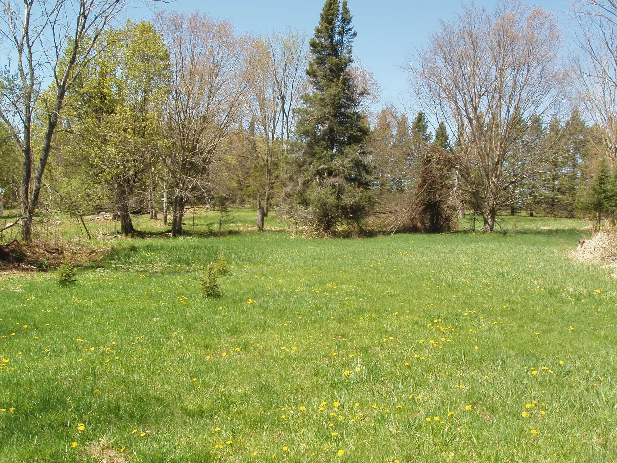 Secluded Glidden Land with Creek