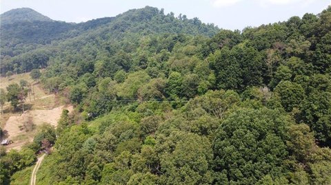 LAND - Canton, NC